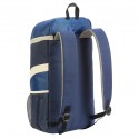 Food Market Cooler Backpack Navy